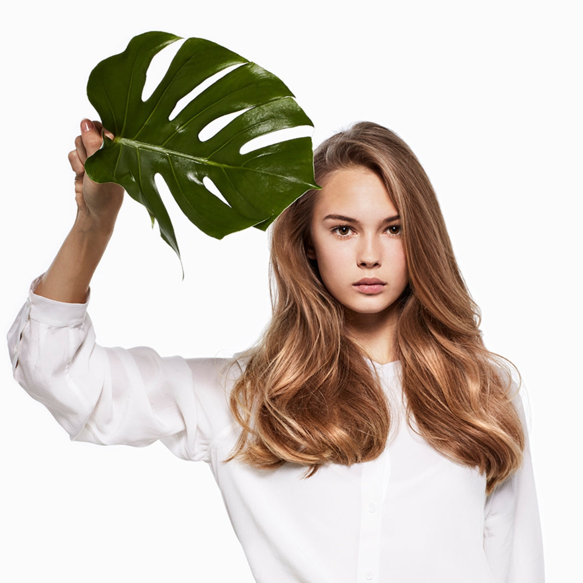 Sérum Capilar Nutritivo Anti-Frizz Phytoelisir Imagea