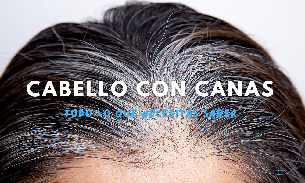 Todo lo que necesitas saber sobre el cabello con canas