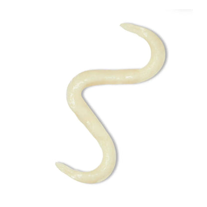 Acondicionador Nutritivo Argán Supremo Elgon