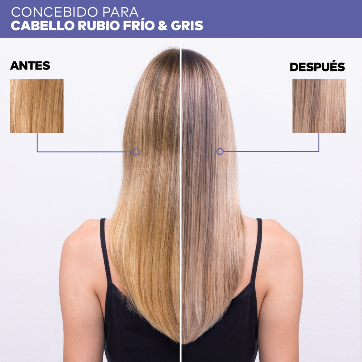 Shampoo Matizador Silver Yellow