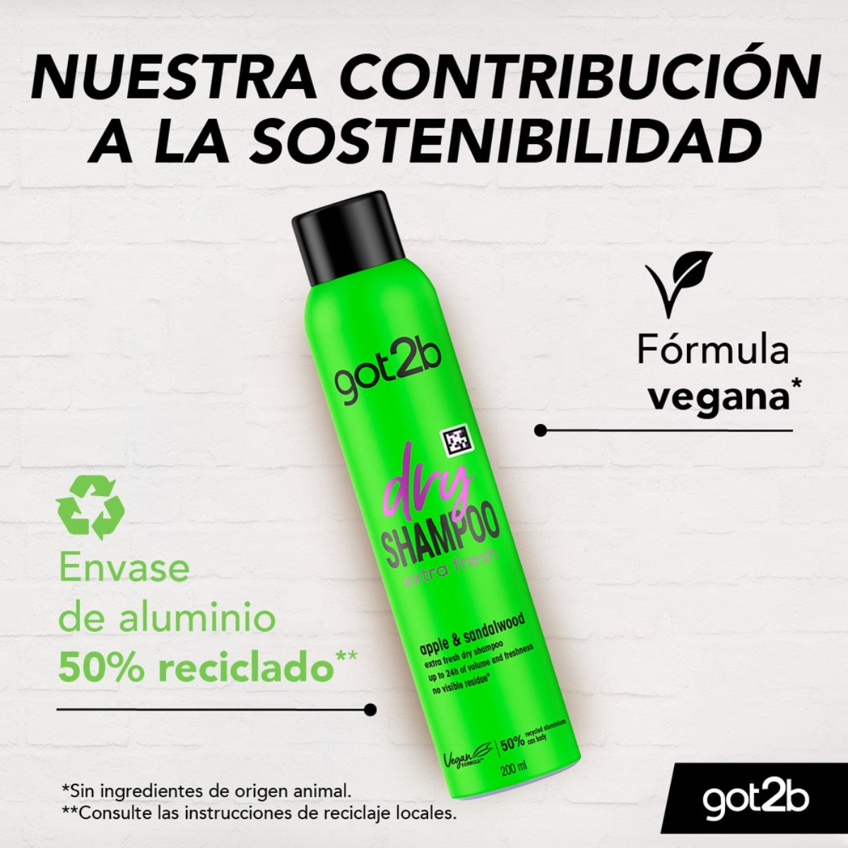 Shampoo Seco Extra Fresh Got2B